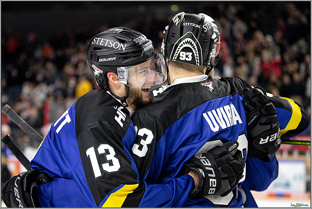 PENNY DEL; Koelner Haie- Fishtown Pinguins Bremerhaven; Koeln, 23.11.2021